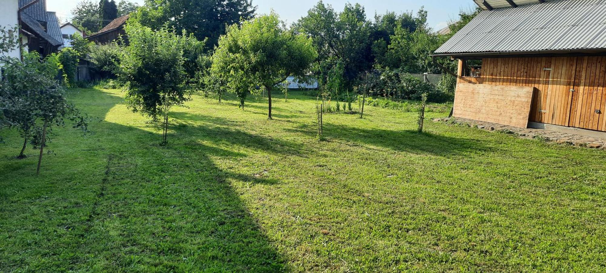 Mura House Vişeu de Sus المظهر الخارجي الصورة