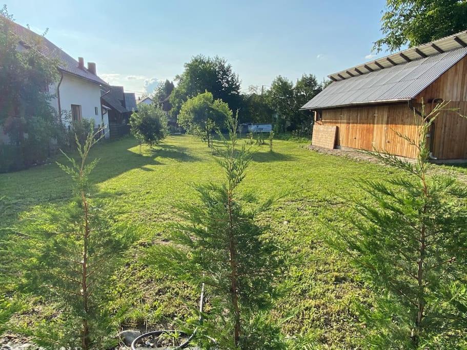 Mura House Vişeu de Sus المظهر الخارجي الصورة