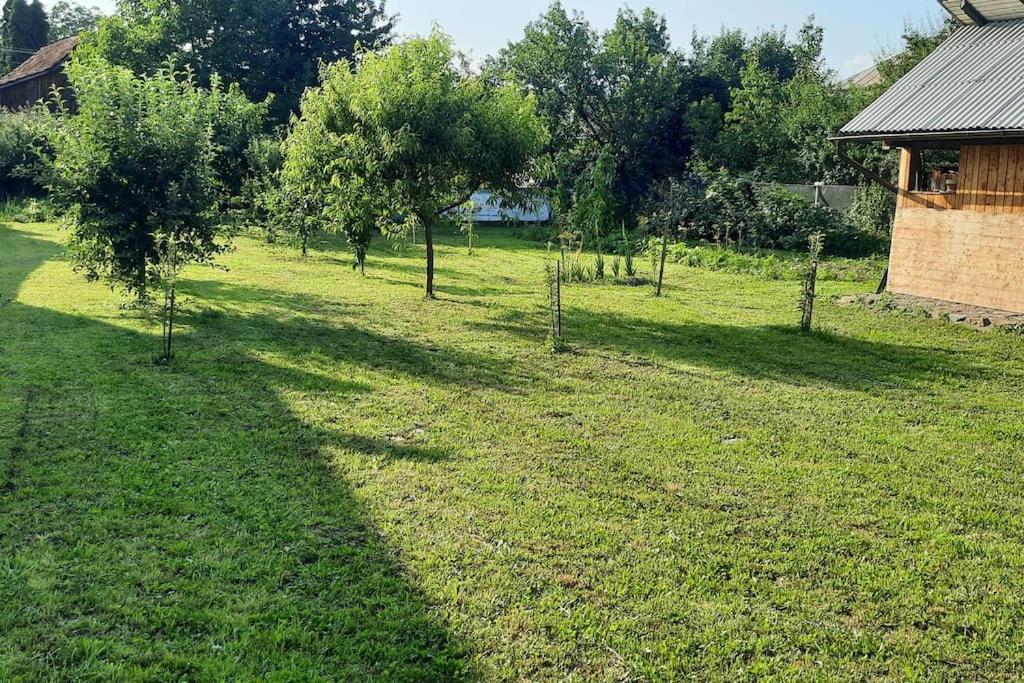 Mura House Vişeu de Sus المظهر الخارجي الصورة